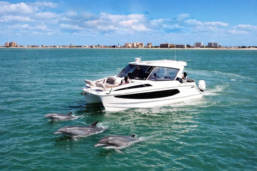 36FT Aquila Catamaran — PINK OCEAN Yachts fleet